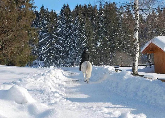 Apartmán Ruheoase Am Forggensee